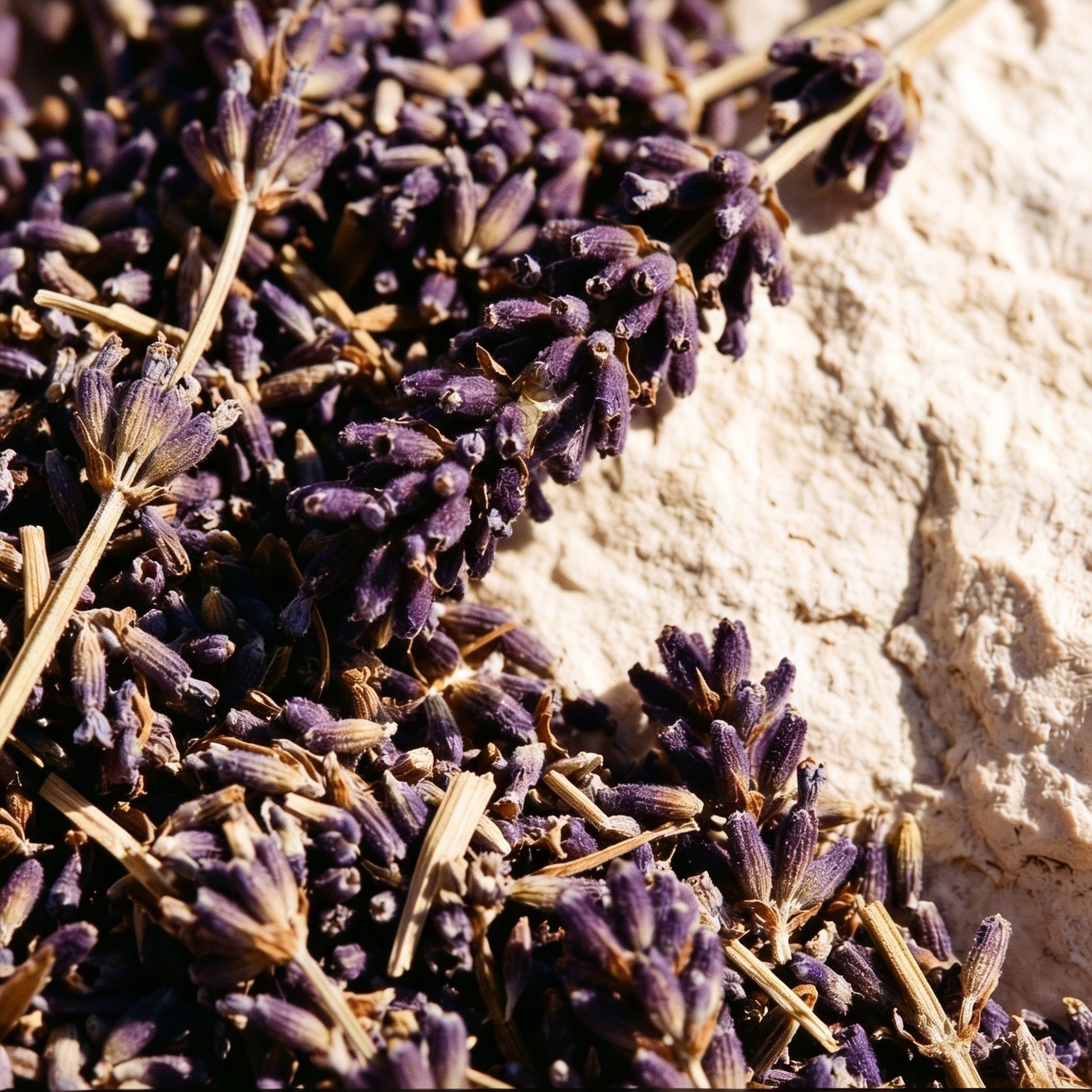Provence Room & Linen Spray — macro texture detail