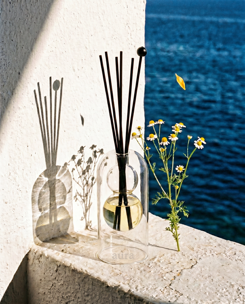 Bella reed diffuser styled in an interior scene
