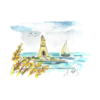 Santa Maria Oil Fragrance - Image 2
