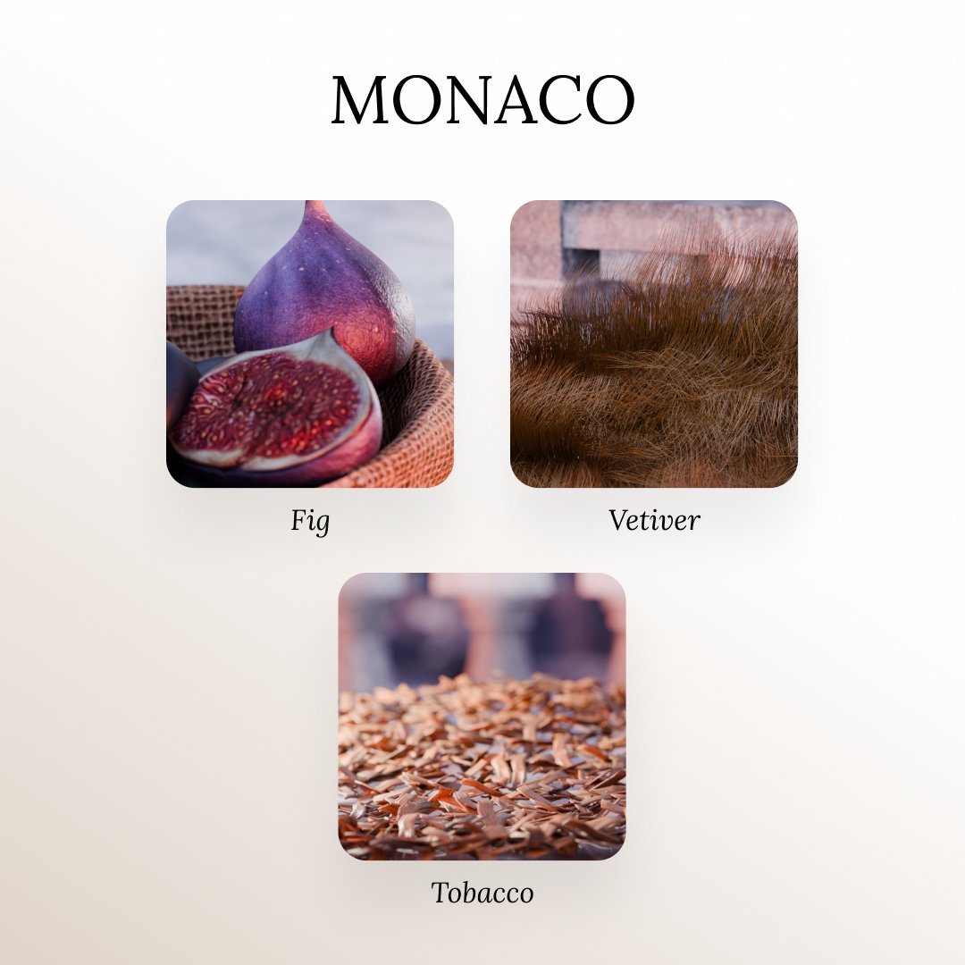 MONACO olfactory family fig tobacco and vetiver essential oil lovers