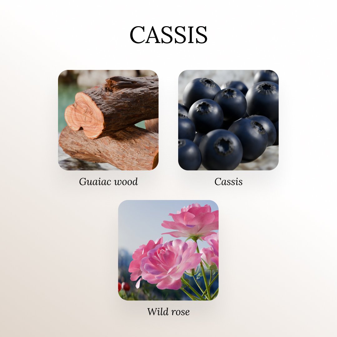 This fragrance creates a vibrant, fresh, and romantic ambiance. The space feels lively yet elegant—like a Mediterranean morning filled with light, color, and gentle coastal breezes. Cassis, rose, geranium, and red currant—fresh, floral, and vibrant Mediterranean elegance inspired by Cassis, France.