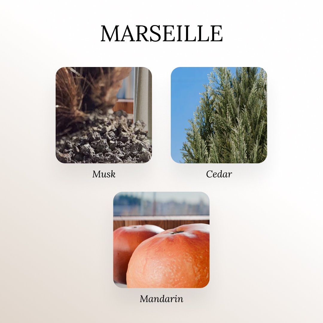 MARSEILLE FRAGRANCE PROFILE MANDARIN CEDAR AND OAK ESSENTIAL OILS