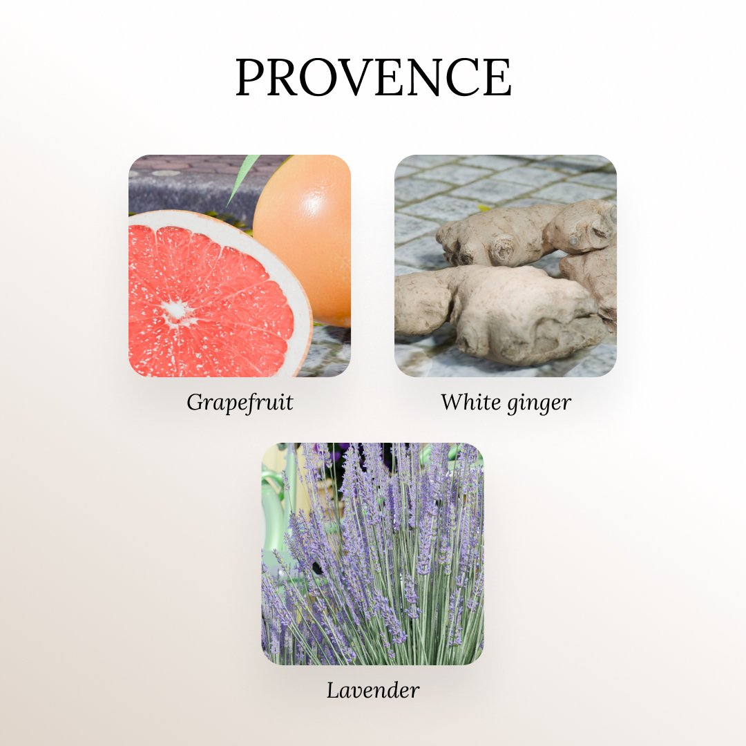 provence LEMONGRASS LAVENDER AND GINGER BLEND